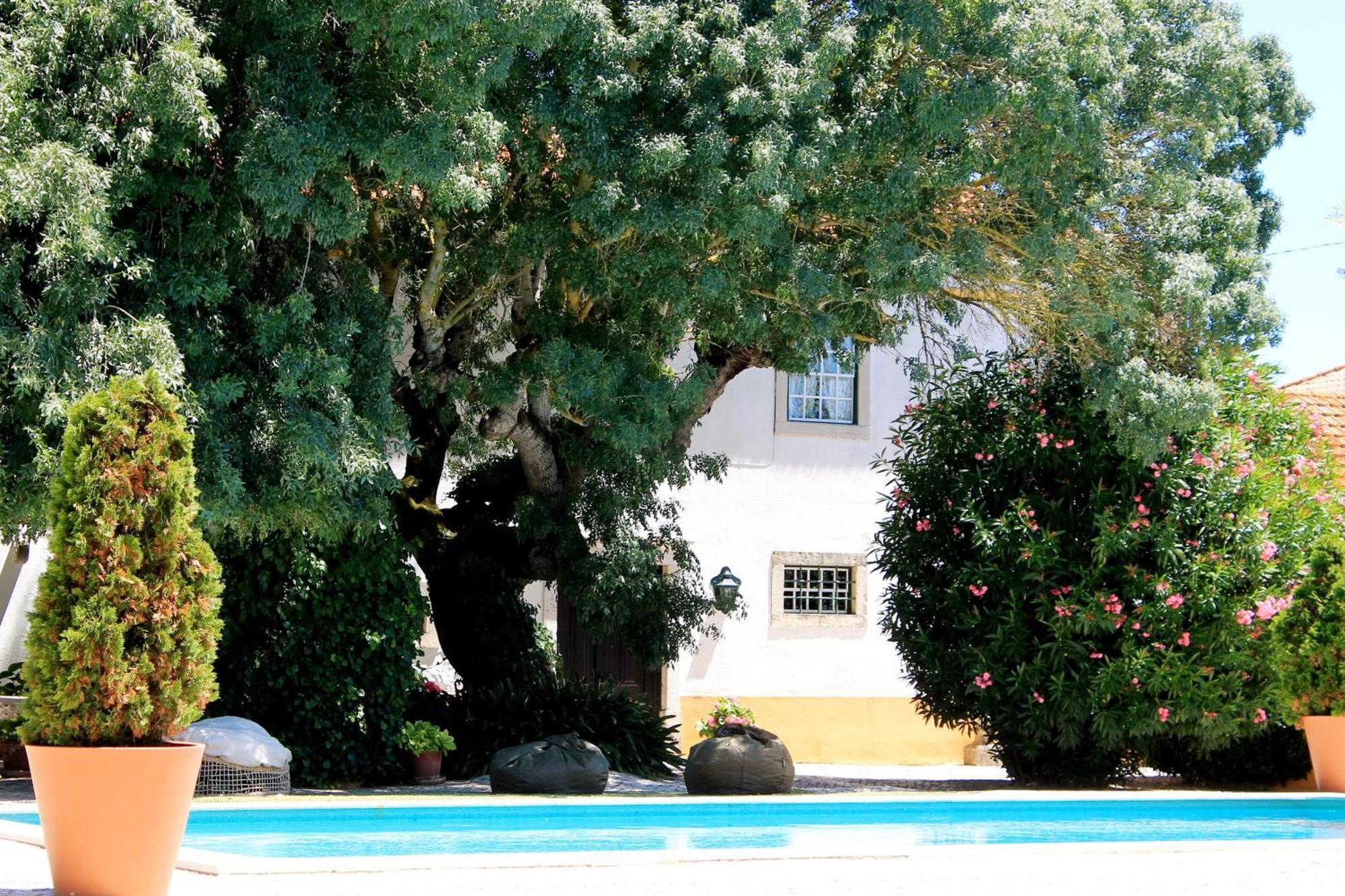 Quinta Do Casal De Santo Antonio Villa Alenquer Kültér fotó
