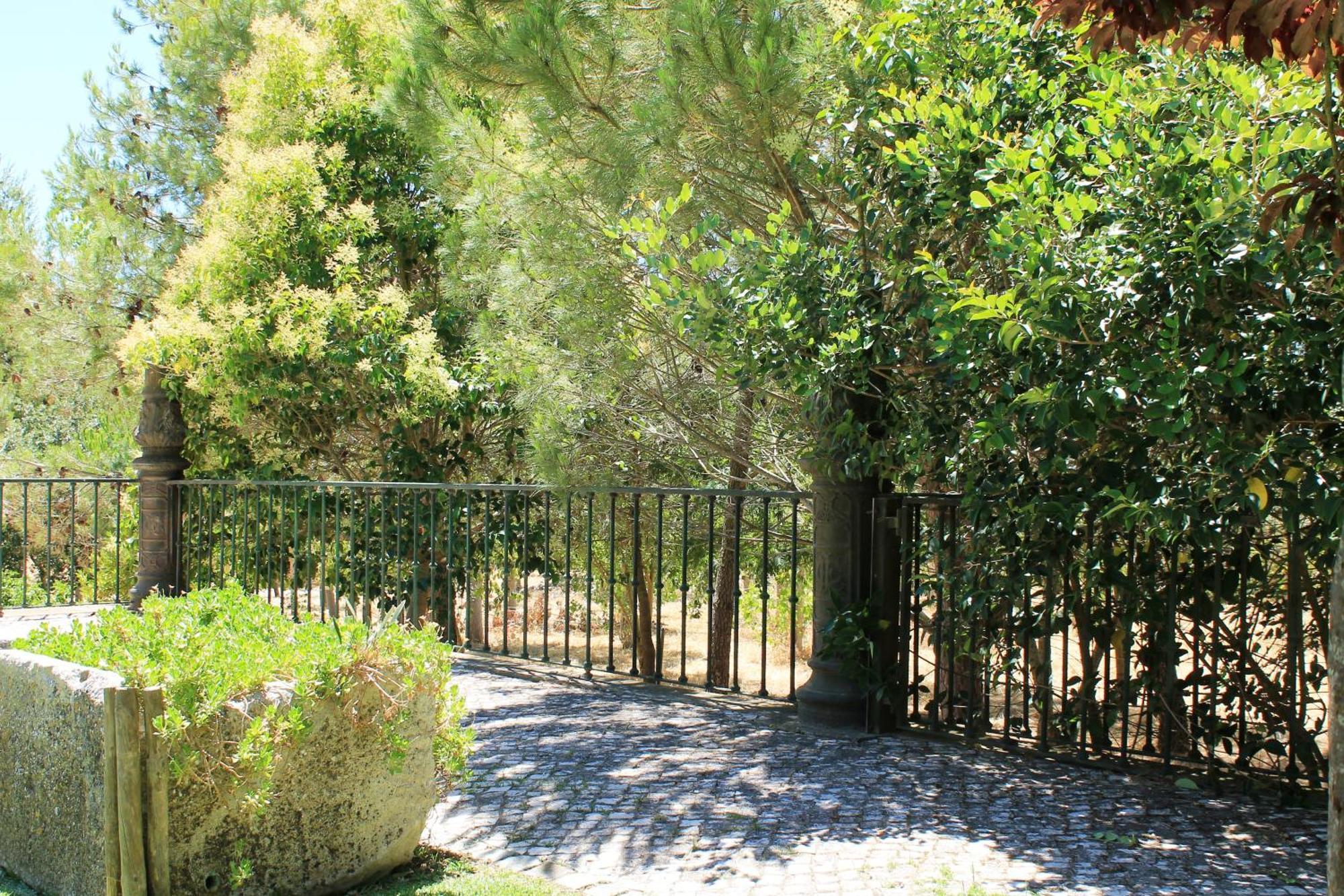 Quinta Do Casal De Santo Antonio Villa Alenquer Kültér fotó