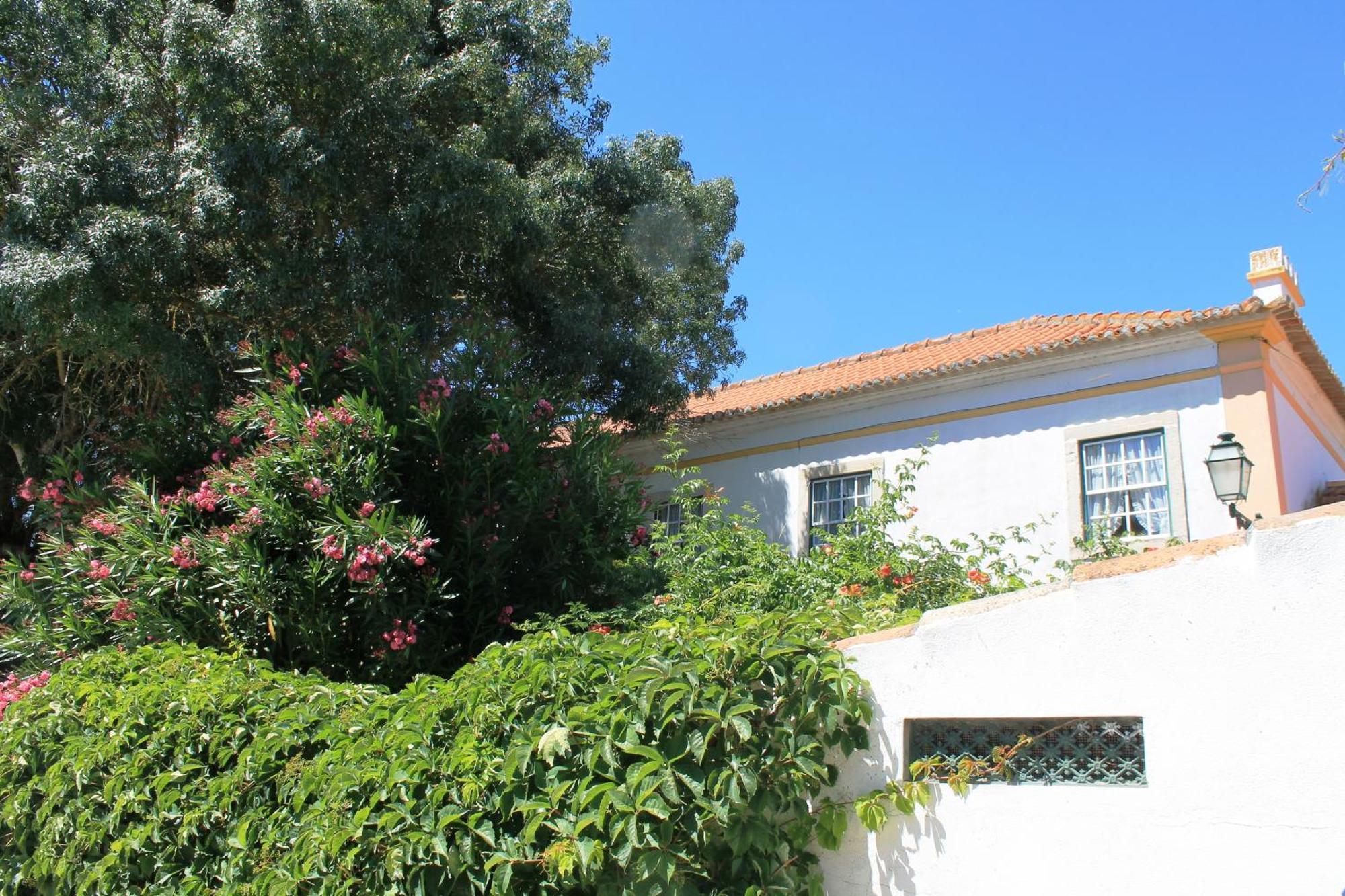 Quinta Do Casal De Santo Antonio Villa Alenquer Kültér fotó