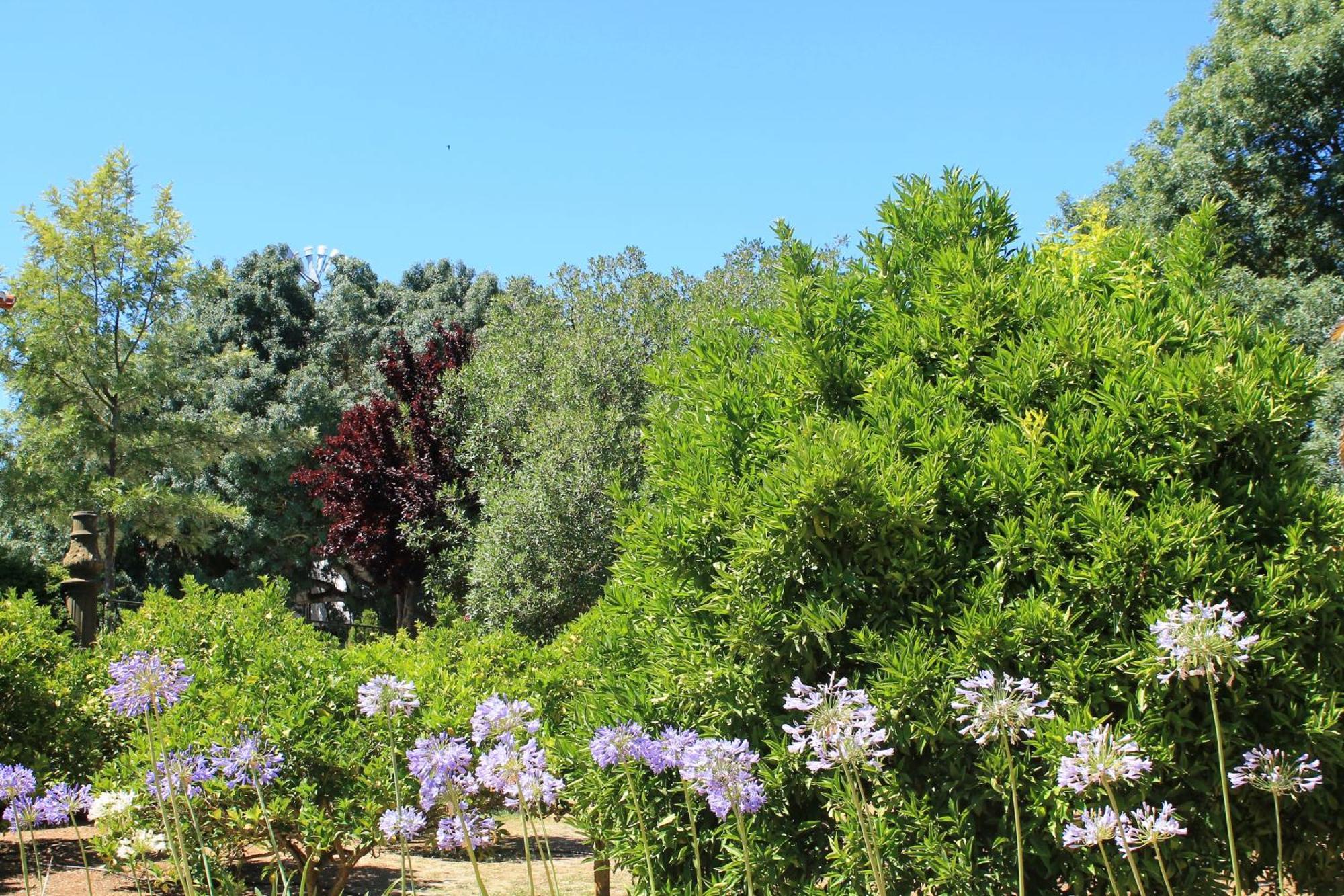 Quinta Do Casal De Santo Antonio Villa Alenquer Kültér fotó