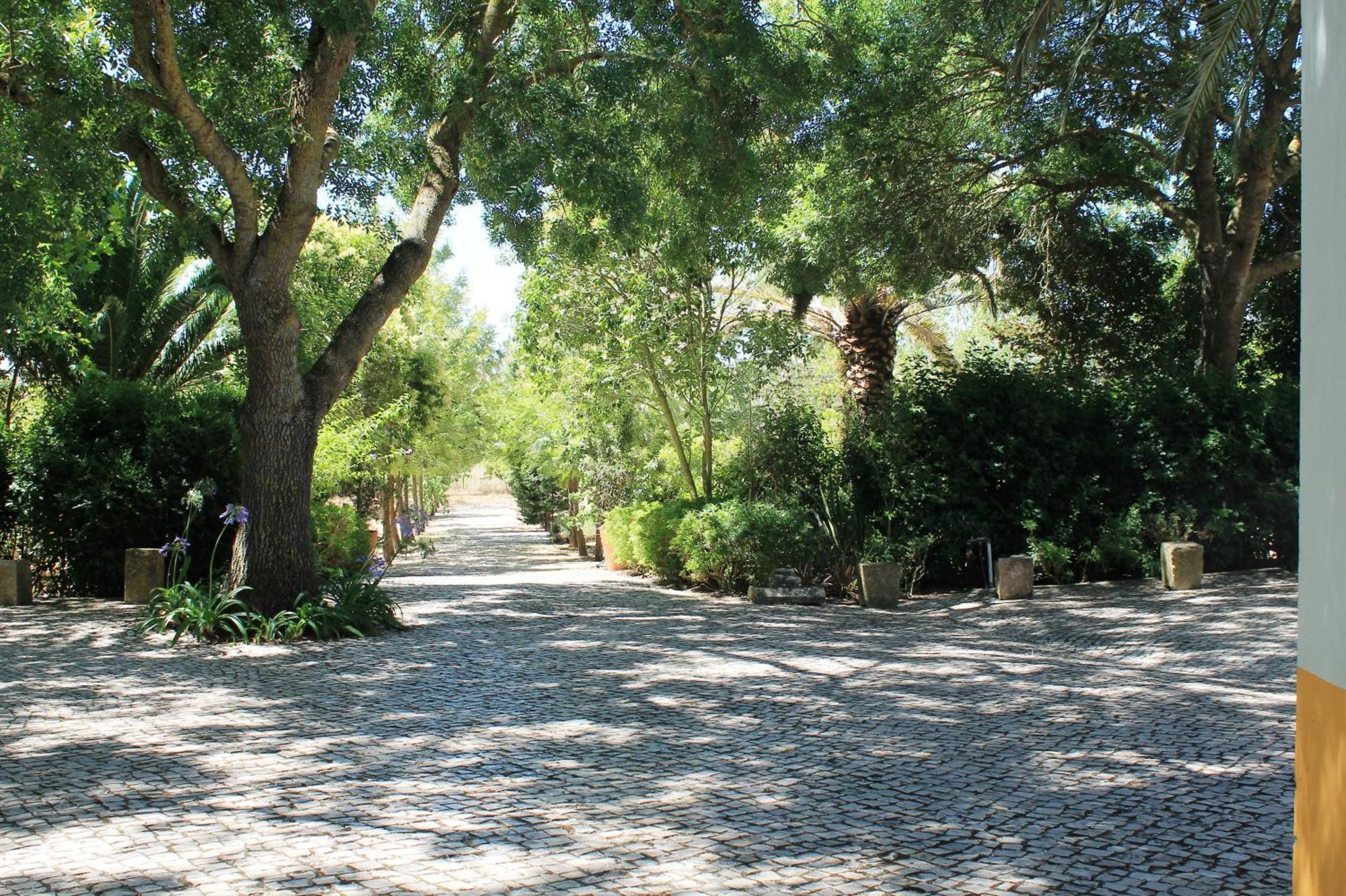 Quinta Do Casal De Santo Antonio Villa Alenquer Kültér fotó