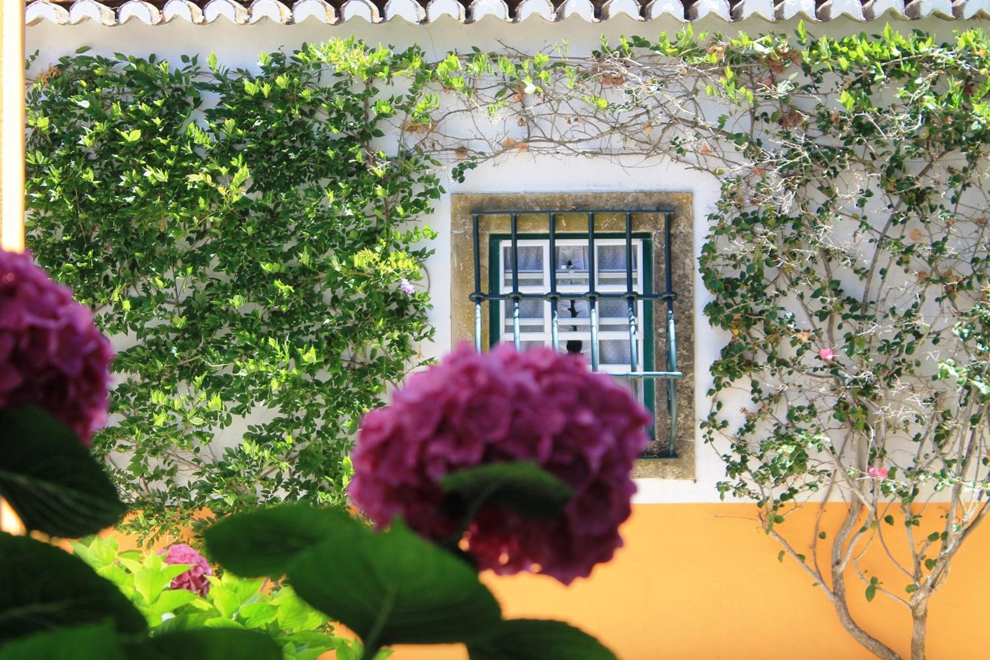 Quinta Do Casal De Santo Antonio Villa Alenquer Kültér fotó